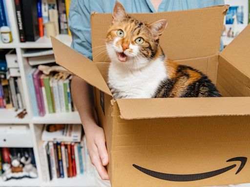 Amazon Pet Day 2024: cuándo es, promociones y ofertas anticipadas para tus mascotas - La Opinión