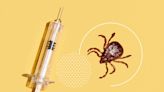 Lyme Vaccines Are Finally Coming, and They May Not Look Like You'd Expect