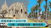 漫遊泰國清邁！6大必玩行程：夢幻白廟、夜間動物園、叢林飛索，讓你愛上這座悠閒城市