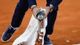 On a wing and a prayer, a pigeon is rescued by a French Open chair umpire during a match