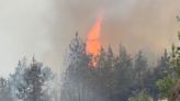 Incendio forestal en Hidalgo deja varias personas intoxicadas