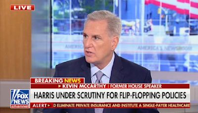 ‘Stop!’ Kevin McCarthy Calls Out Trump’s Fixation on Kamala Harris Crowd Size — Live On Fox News