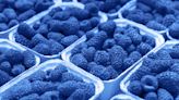 You Need To Know The Truth About Blue Raspberry