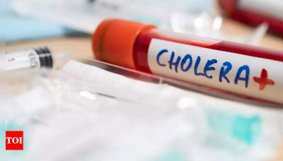 Cholera Outbreak in Ahmedabad: 51 Cases in 29 Days | Ahmedabad News - Times of India
