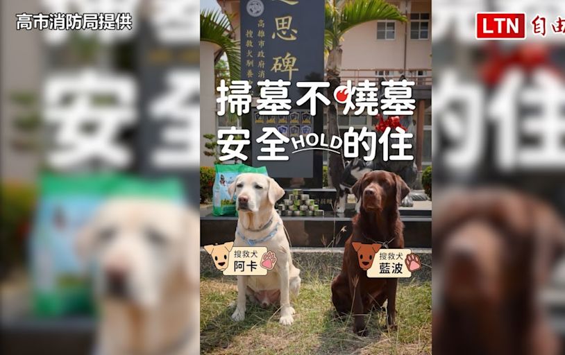 高雄2搜救犬清明節為這事大打出手 網友笑翻（高市消防局提供） - 自由電子報影音頻道