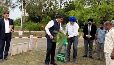Chief Justice Sheel Nagu launches tree plantation drive at Punjab and Haryana High Court