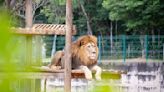 Zoológico de BH e Aquário do São Francisco: veja horários e preço do ingresso | Notícias Sou BH