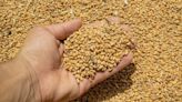 EU to limit imports of grain from Russia, Belarus
