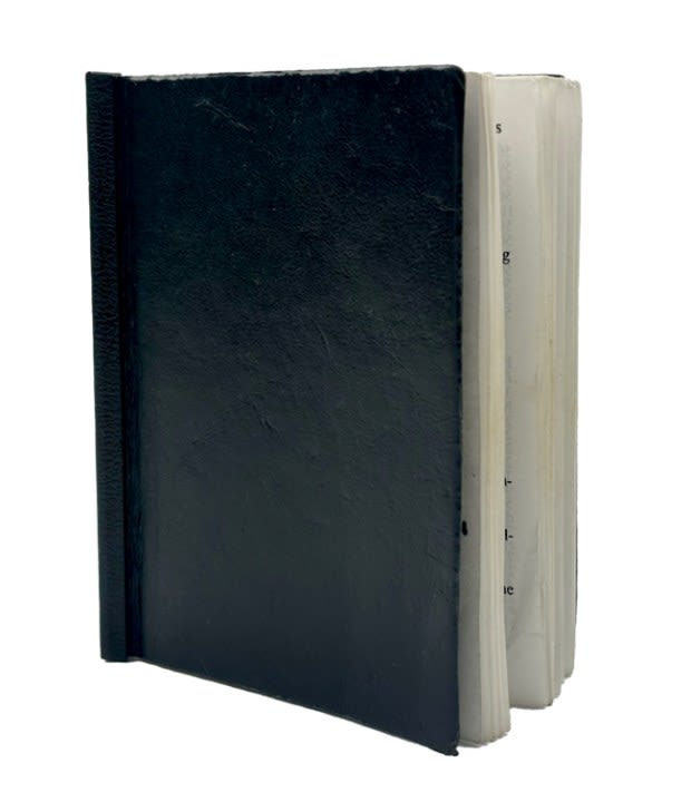 Jeffrey Epstein’s ‘little black book’ containing 221 new names up for auction