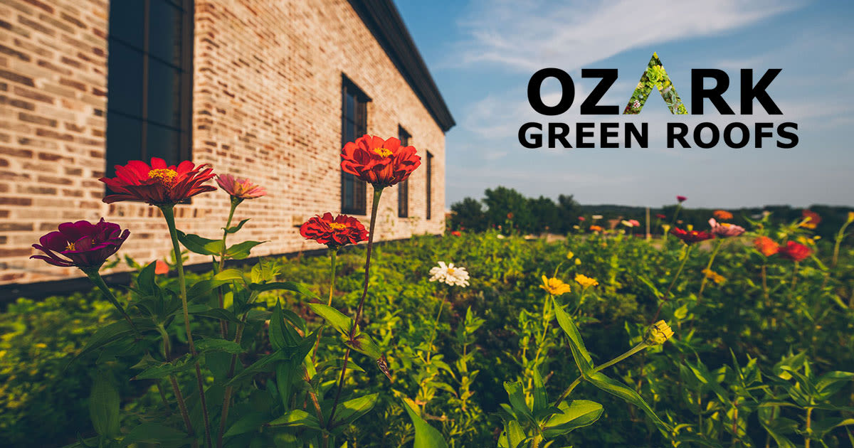 Veteran investors join Ozark Green Roofs to drive growth - Talk Business & Politics