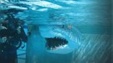 When Sharks Attack Season 1 Streaming: Watch & Stream Online via Disney Plus & Hulu