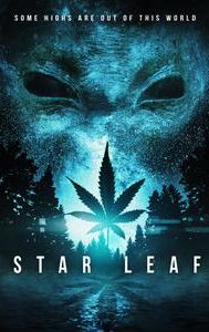 Star Leaf