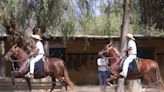 La Libertad: 285 caballos de paso competirán este viernes 7 de junio en Paiján