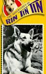 Rin Tin Tin II