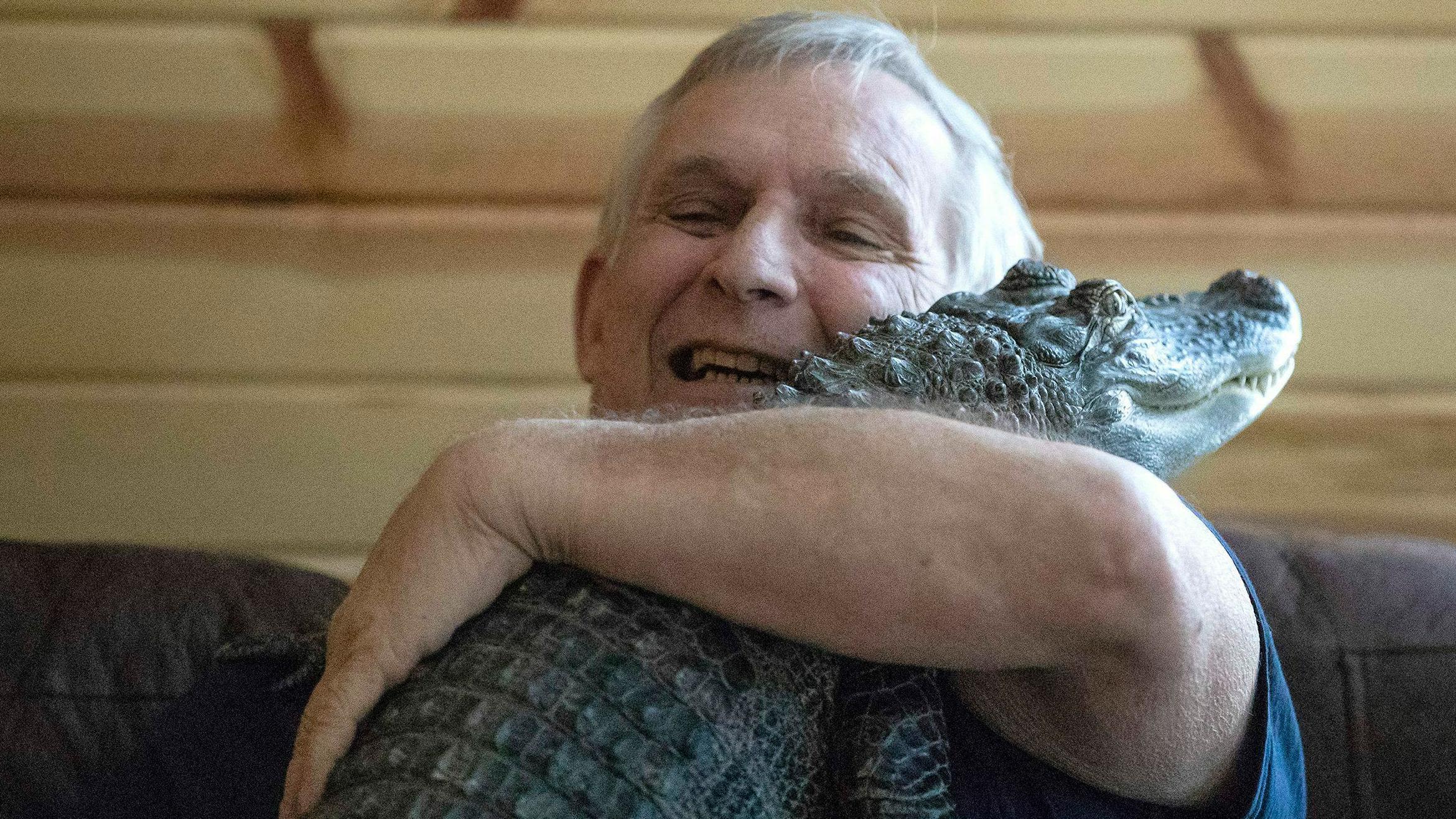 Emotional support alligator taken and released in swamp