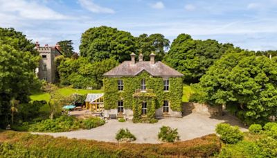 The stunning mansion on market for €3.7m with tennis court, lush gardens & tower