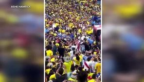 Brawl breaks out between fans, players in stands at Copa América match in Uptown