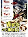 Wings of Chance