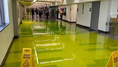 You have to see this! Green liquid leaks from ceiling at airport, spills all over the floor - East Idaho News