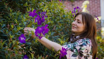 Muere la senadora Rosalinda López Hernández, hermana de Adán Augusto López y esposa de Rutilio Escandón