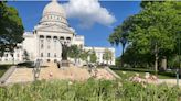 Workers discover cannabis plants amid the tulips outside the state Capitol