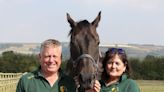 'The interaction is magical' - join Group 1 winner Goldream for his latest big date at a brain injury centre