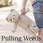 Pulling Weeds: Recovering from Christianity