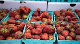 Owego Strawberry Festival returns Thursday. Here's everything you need to know