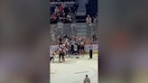 NHL mass brawl as referee sends players off the ice