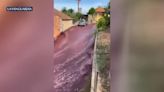 Watch: Distillery spill floods streets of Portuguese town with wine