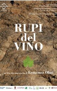 Rupi del vino