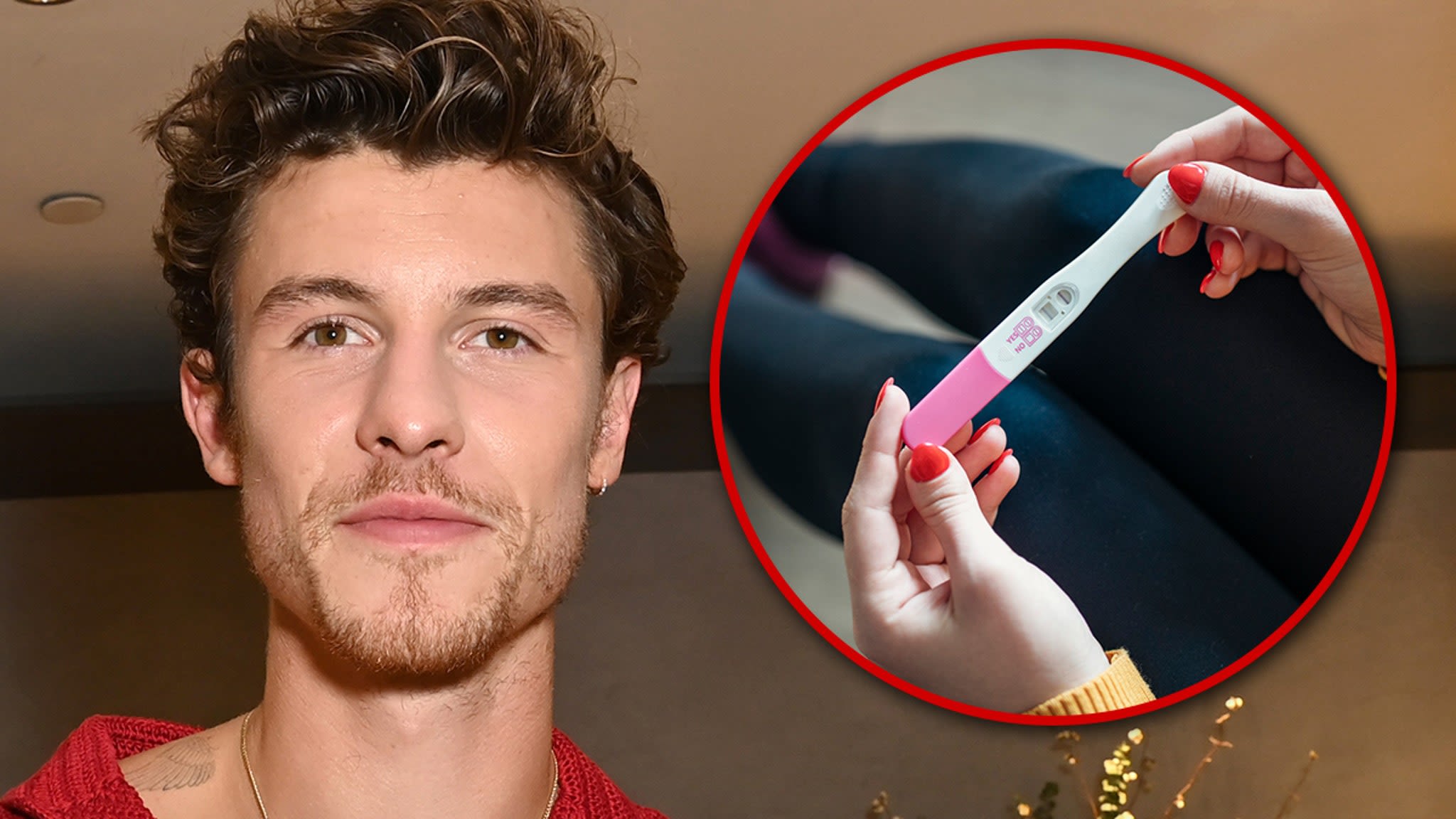 Shawn Mendes Sings About Pregnancy Scare in New Song