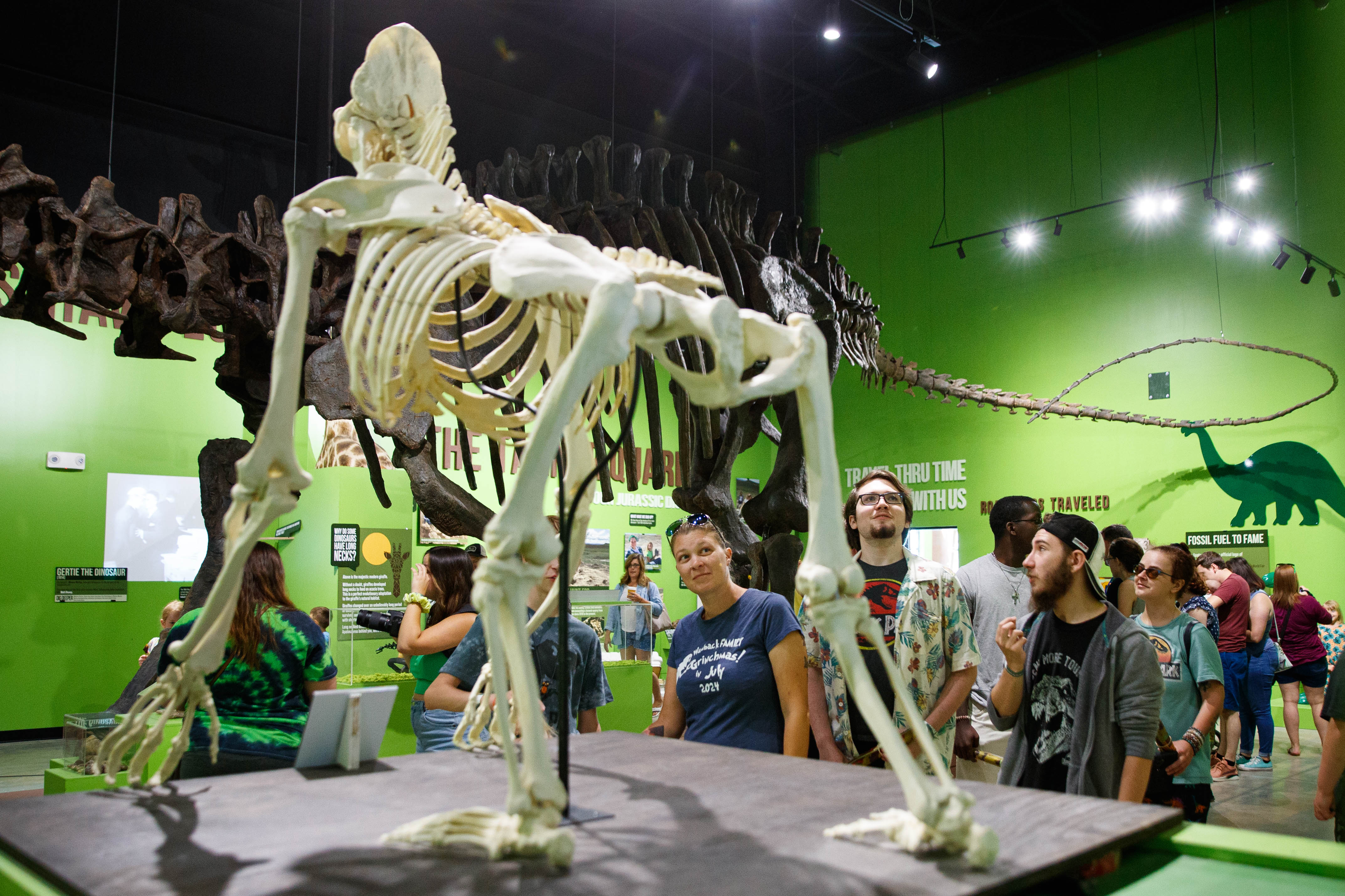 8 things to do at South Bend's new Indiana Dinosaur Museum
