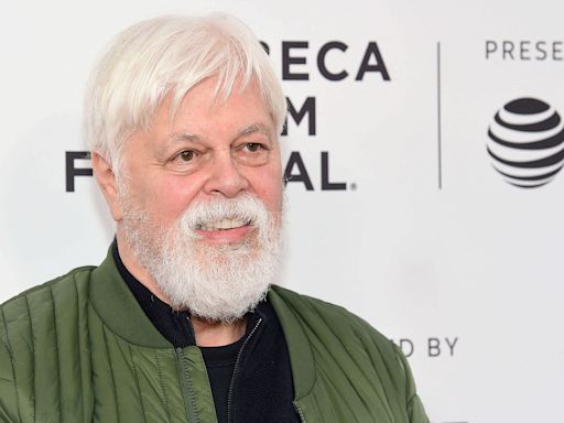 Arrestation de Paul Watson : une pétition appelle Emmanuel Macron à la rescousse