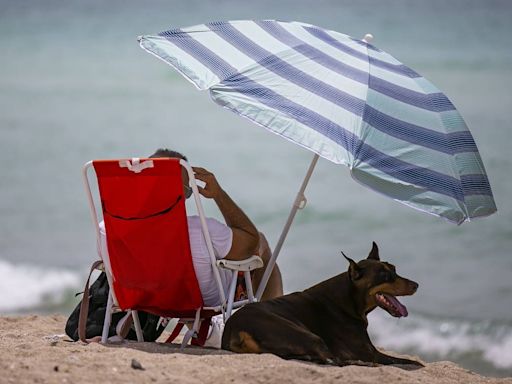 ¿Miami descansará del calor extremo? ¿Qué dice el pronóstico para el fin de semana?