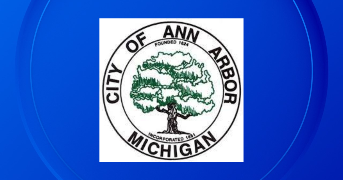 Raw sewage overflow found near Ann Arbor elementary school