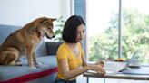 Shiba Inu Will Go to Zero According to New Finder Report