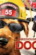 Firehouse Dog