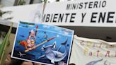 Costa Rica prohíbe la pesca y comercialización del amenazado tiburón martillo