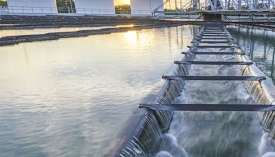 Returns On Capital At American States Water (NYSE:AWR) Have Hit The Brakes