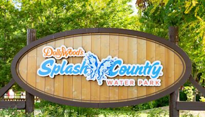 Over 700 people attend world's largest swimming lesson at Dollywood's Splash Country