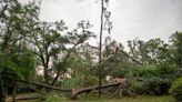 Storms pummel northern Florida; woman killed in Tallahassee: Weather updates
