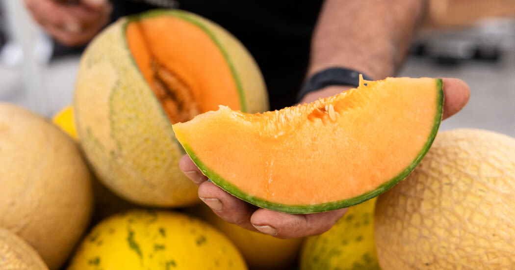 Los Angeles Is Obsessed With These Cult Seasonal Melons