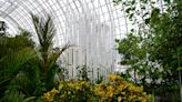 Myriad Gardens seeks $3 million to cool down steamy conservatory