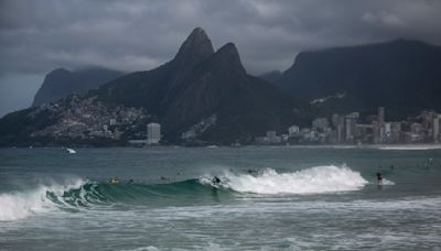 Sharks test positive for cocaine in Brazil’s drug-polluted waters