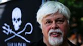 Anti-whaling campaigner Paul Watson arrested in Greenland. He faces possible extradition to Japan