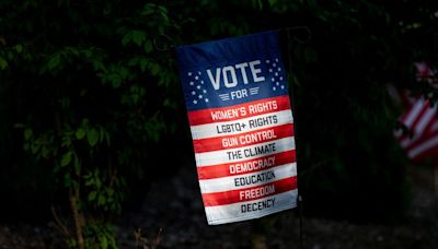 Michigan voters in deep-red county accused of trying to vote multiple times: report