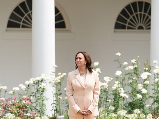 Kamala Harris: the Gen Z-friendly VP who could become America's first female president