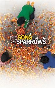 The Song of Sparrows