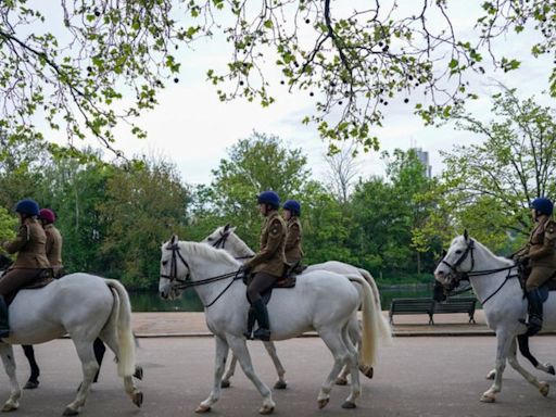 Cavalos da família real britânica fogem e machucam pessoas em Londres